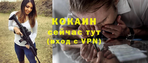 mdpv Богородицк