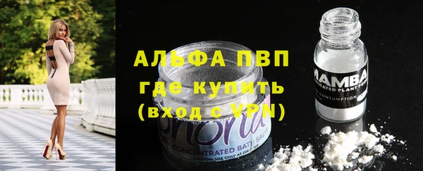 mdpv Богородицк